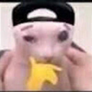 Meet your Posher, Luis